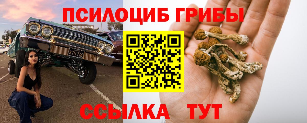 наркотики  Галлюциногенные грибы Cubensis  Дзержинский  Вход с VPN  Галлюциногенные грибы мухоморы 